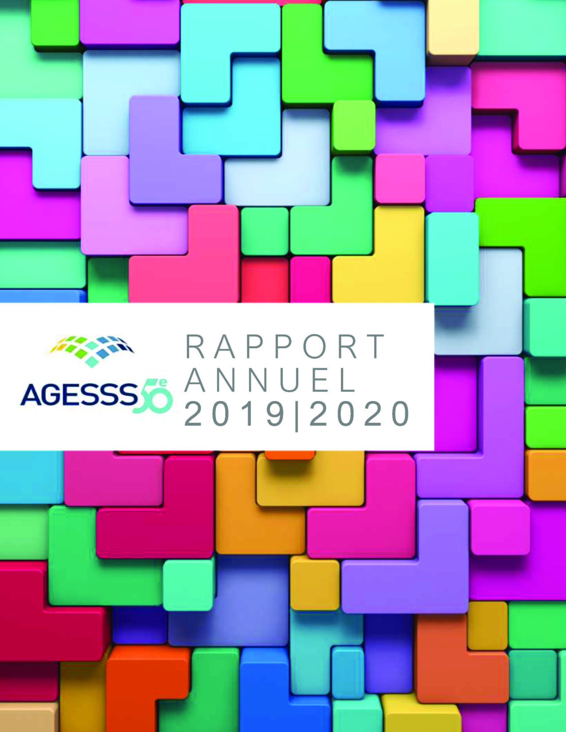 Rapport annuel 2019-2020